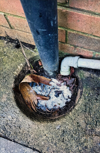 https://plumbercottesloe.com.au/uploads/2025/06/blocked-drains-294506.jpg